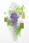 山本明日香 個展2019 in吉祥寺